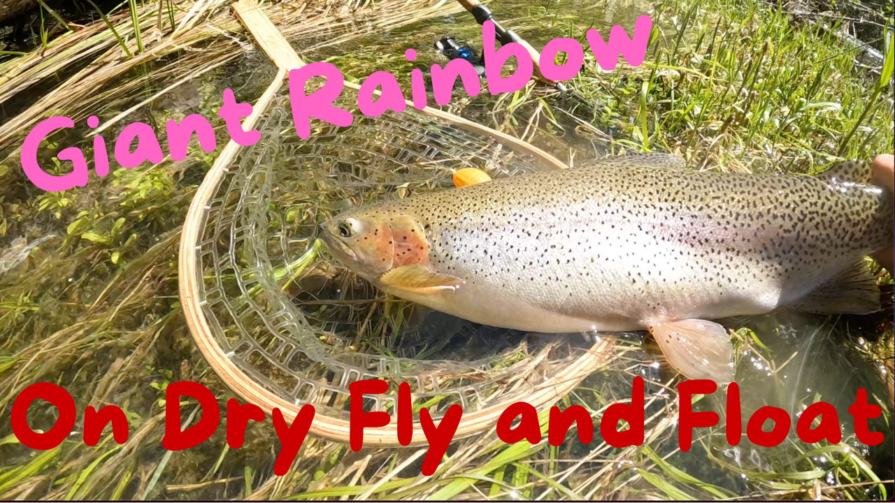 Dry Fly on Float Kit - Western Stone Flies